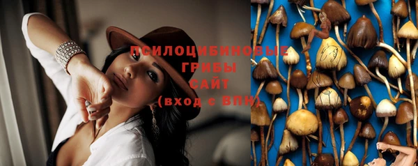 Альфа ПВП Алзамай