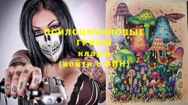 Альфа ПВП Алзамай